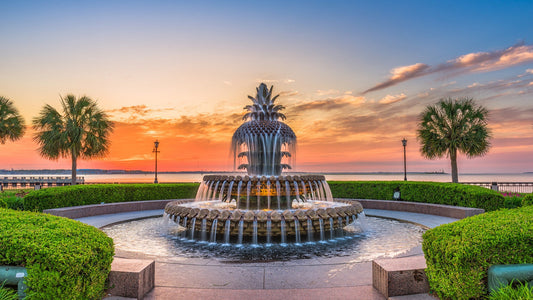 2 Must-Do Activities in Charleston, SC